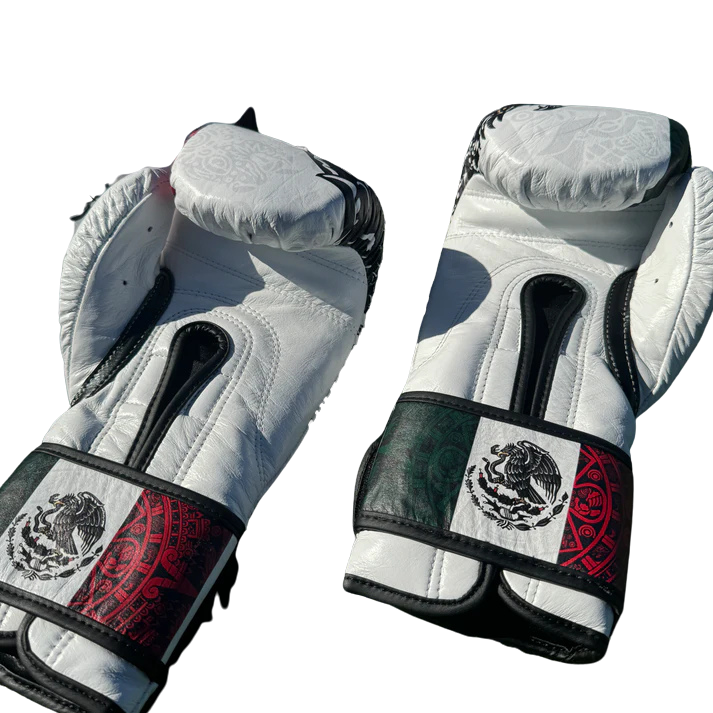 SPECIAL EDITION CUSTOM MEXICO | BOXING SPARRING SET | 100% LEATHER l