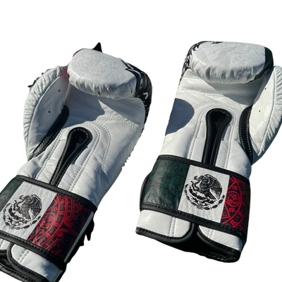 SPECIAL EDITION CUSTOM MEXICO | BOXING SPARRING SET | 100% LEATHER l
