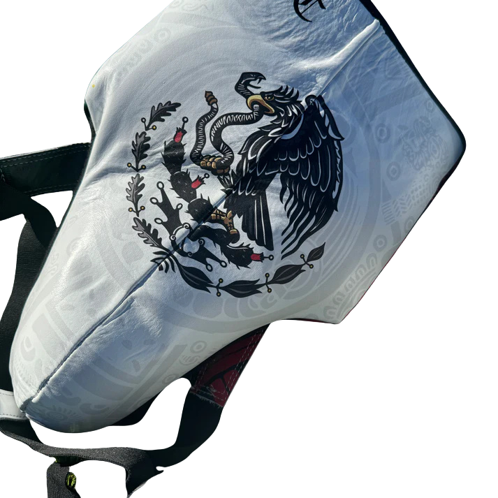 SPECIAL EDITION CUSTOM MEXICO | BOXING SPARRING SET | 100% LEATHER l
