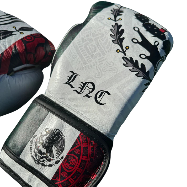 SPECIAL EDITION CUSTOM MEXICO | BOXING SPARRING SET | 100% LEATHER l
