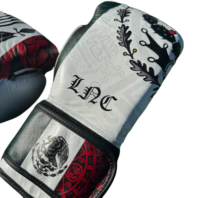 SPECIAL EDITION CUSTOM MEXICO | BOXING SPARRING SET | 100% LEATHER l