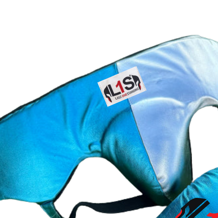 METALLIC SILVER & TEAL | BOXING GLOVES & SPARRING SET 100% LEATHER